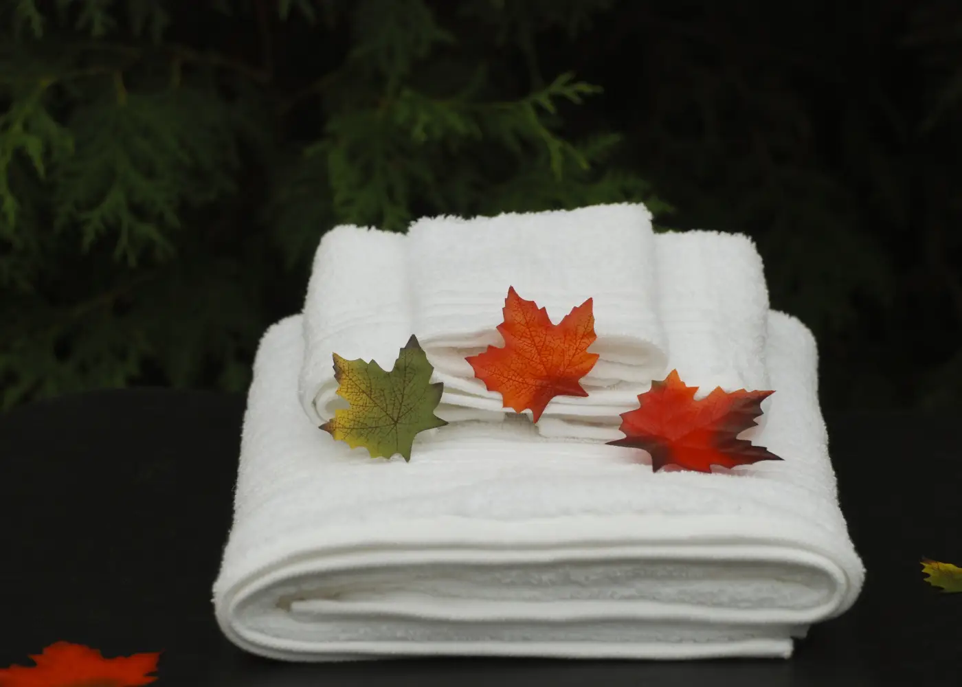 Natural Skincare with Essential Oils